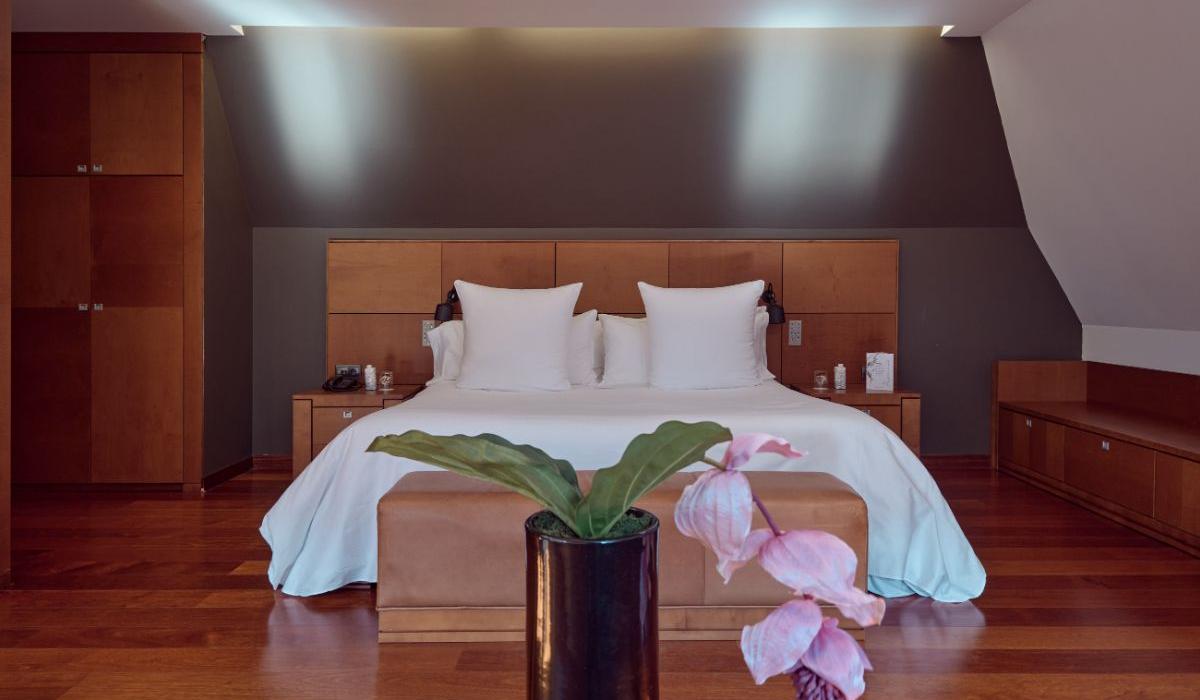 Tradicional Suite Andorra Park Hotel Andorra la Vella Tradicional Suite Andorra Park Hotel Andorra la Vella