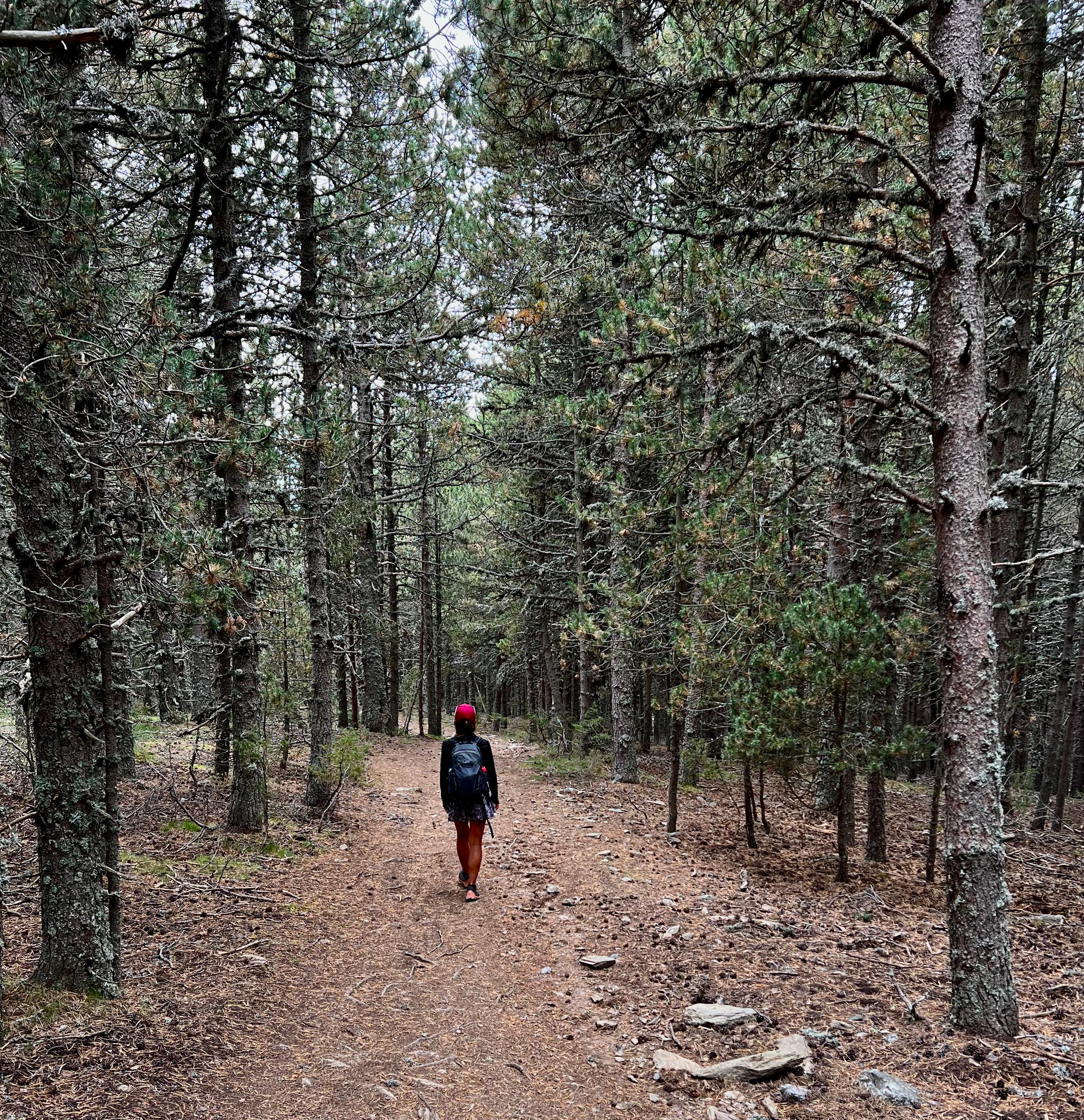 Half-day Hiking